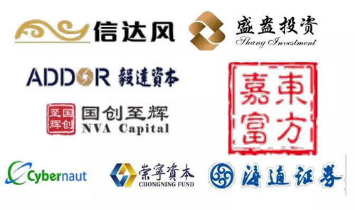 投資喜報 | 泰州東城集團投資的這家企業即將騰飛——精準布局，靜待花開